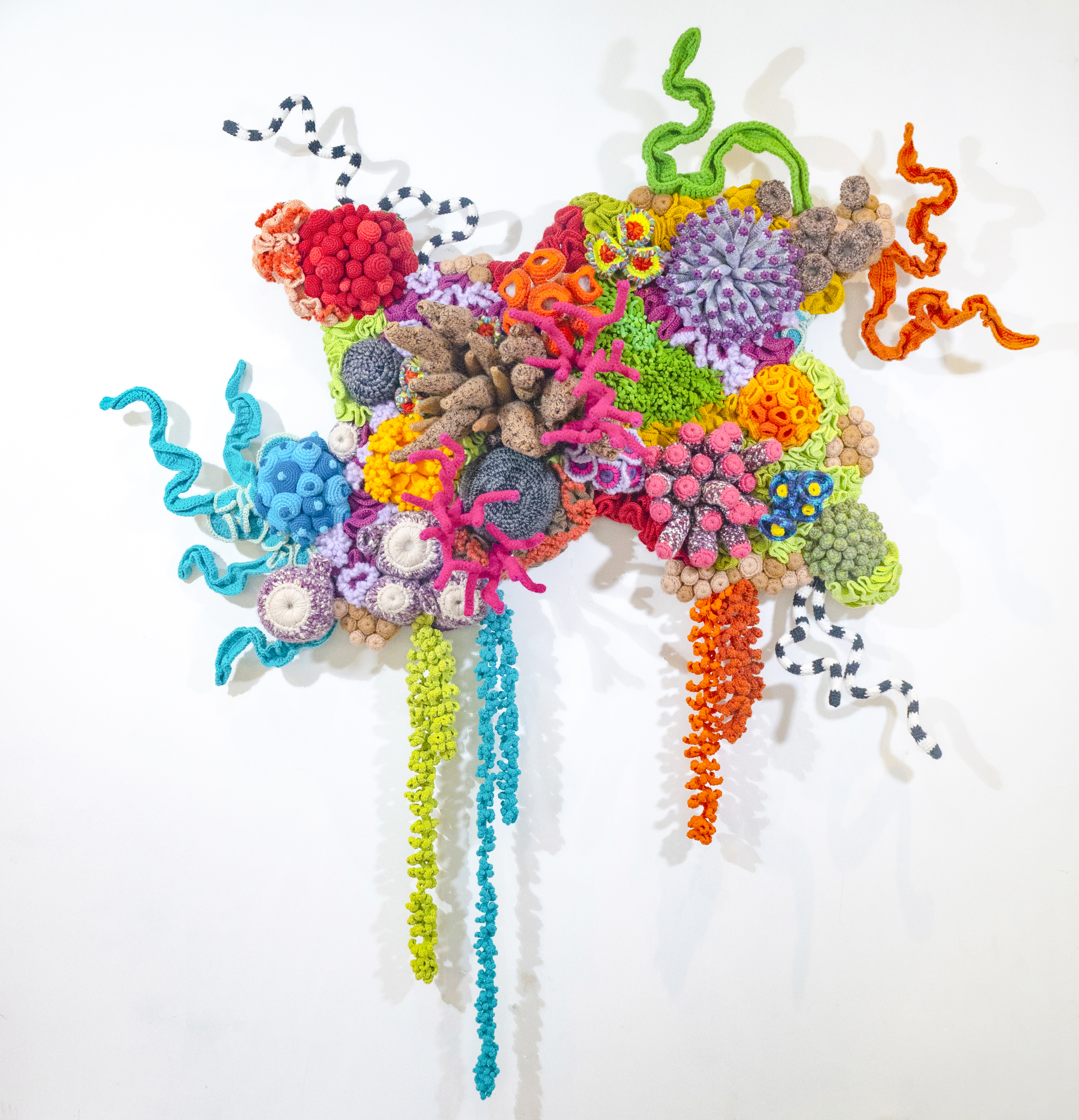 Exhibition: Mulyana-Fragile Ecologies | St. Lawrence University